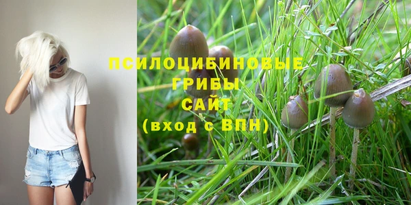 таблы Лиски