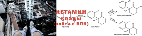 крисы Липки