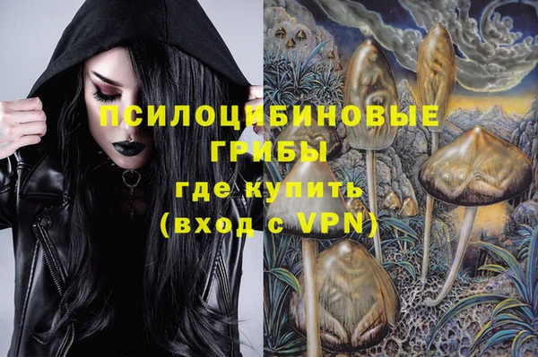 молекула духа Лихославль