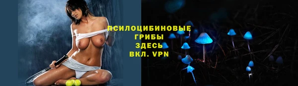 крисы Липки