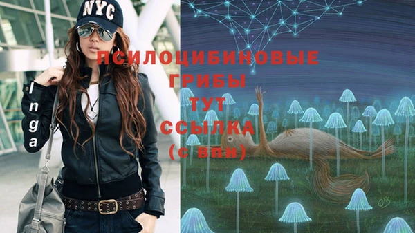 таблы Лиски