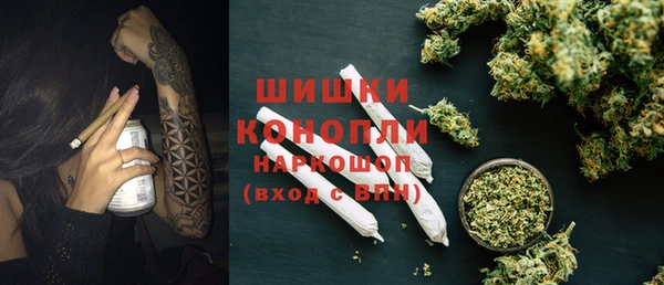 крисы Липки