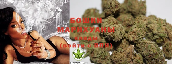 крисы Липки
