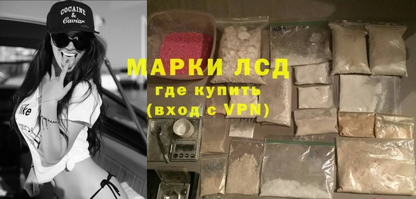 крисы Липки