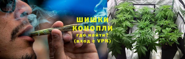 молекула духа Лихославль