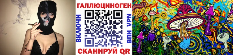 Псилоцибиновые грибы Psilocybine cubensis  Неман 